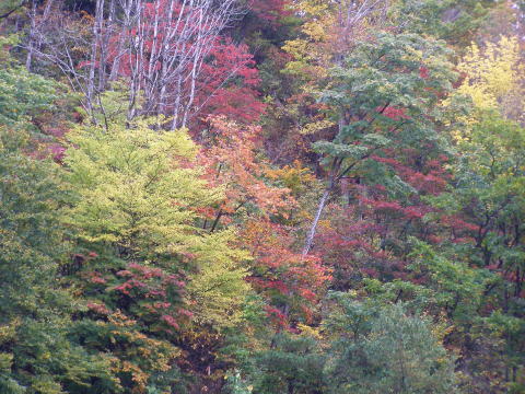 里山に秋の深まり